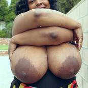 BIG EBONY TITS