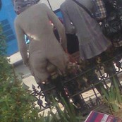 So many big asses under those burqas