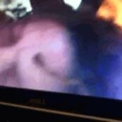 dmv witey lavender and purple