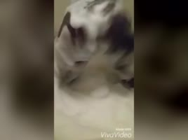 00:20