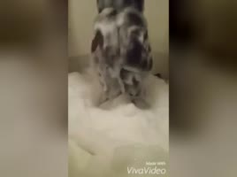 00:30