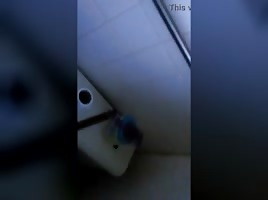 Ebony deepthroat in bathroom