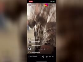 Ig live 