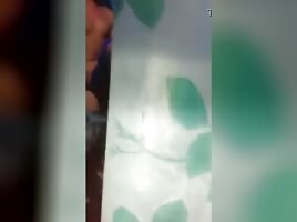 Backshots 