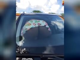 Big ass bouncing 