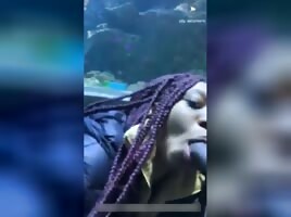 Top at the aquarium
